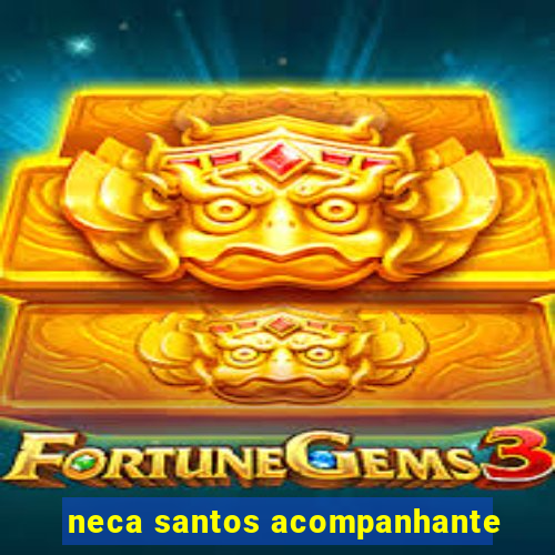 neca santos acompanhante